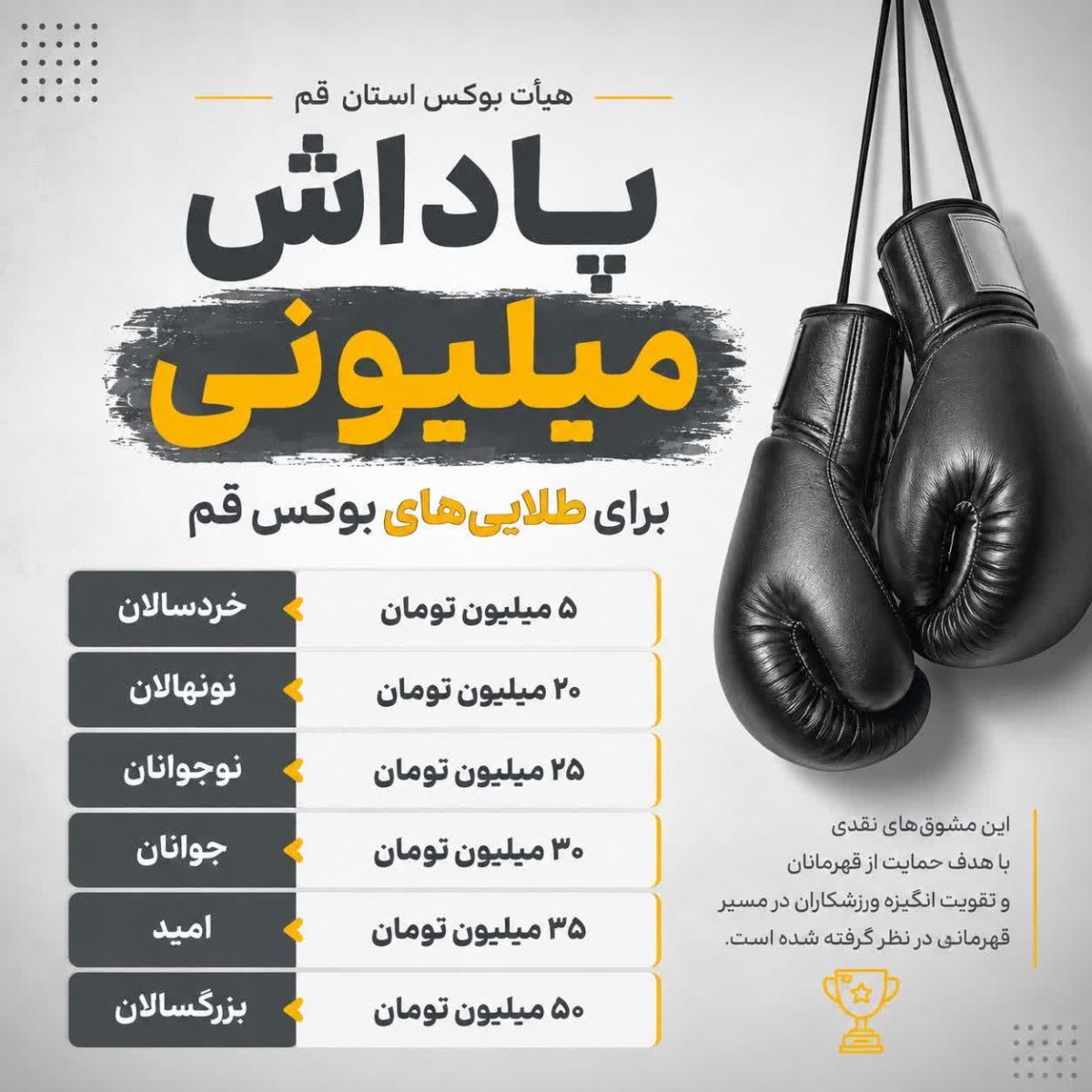 پاداش میلیونی؛ سیاست تازه بوکس قم برای طلایی‌ها