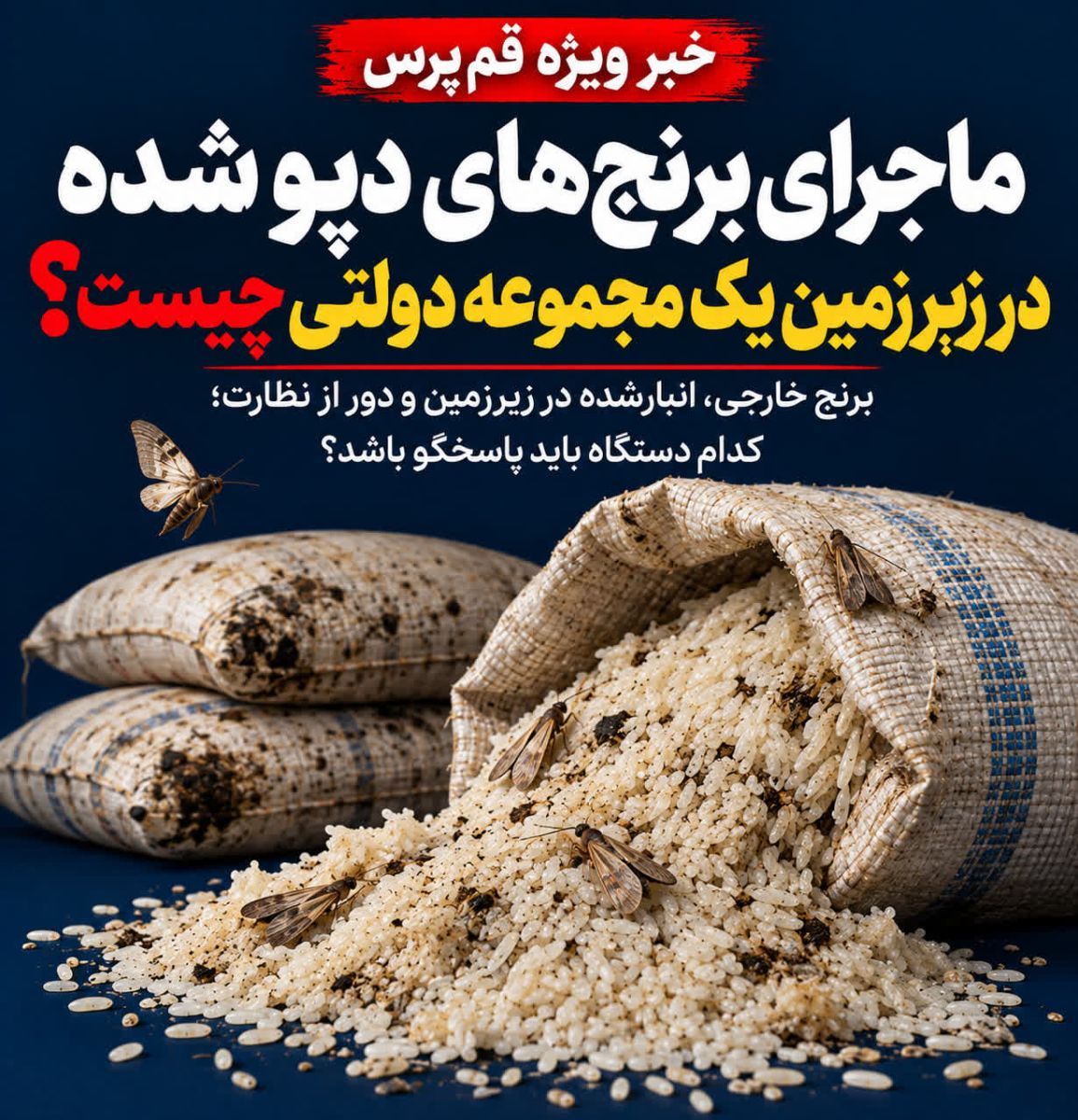 ماجرای برنجهای دپو شده در زیرزمین یک مجموعه دولتی چیست؟