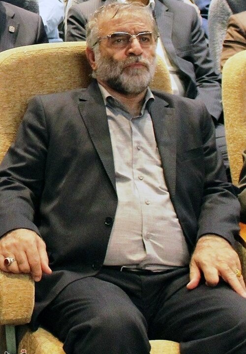 راز پیشرفت علمی فخری‌زاده در نبوغ فردی خلاصه نمی‌شد