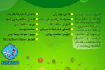 گیاهخواری + اینفوگرافی