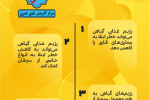 مزایای رژِیم گیاهی+ اینفوگرافی
