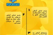 مزایای رژِیم گیاهی+ اینفوگرافی مزایای رژِیم گیاهی+ اینفوگرافی