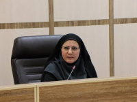 شتاب زدگی در هوشمند سازی به صلاح کشور نیست