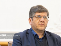 ذاکری: ترانزیت ریلی ایران و افغانستان به ۱۳۰ هزار تن در ماه رسید