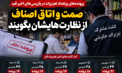 پرونده‌های پرتعداد تعزیرات؛ صمت و اتاق اصناف قم از نظارت‌هایشان بگویند