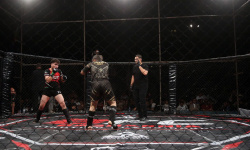 برای نخستین بار در استان؛ مسابقات هنرهای رزمی ترکیبی MMA در قم برگزار شد برای نخستین بار در استان؛ مسابقات هنرهای رزمی ترکیبی MMA در قم برگزار شد