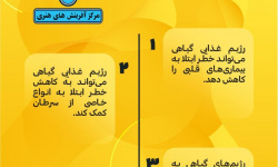 مزایای رژِیم گیاهی+ اینفوگرافی مزایای رژِیم گیاهی+ اینفوگرافی