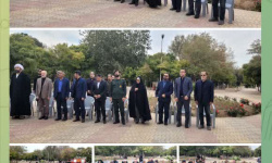 جشنوارهٔ انار کهک؛ همه در قاب، جز انار!