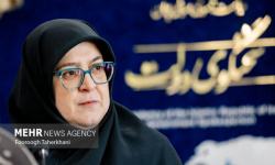مهاجرانی: برق نیروگاه‌های تازه تاسیس به صنایع اختصاص می‌یابد