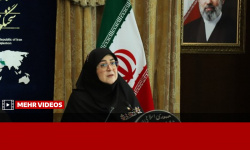 روایت سخنگوی دولت از تسبیحی که از مادران شهدای میناب گرفته بود