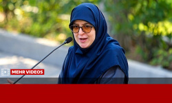 مهاجرانی: تحریم ما را به سمت تراستی‌ها برد