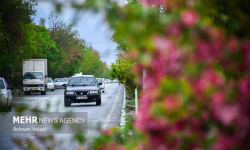 هواشناسی ایران امروز ۲۷ شهریور؛ بارش پراکنده در سواحل دریای خزر هواشناسی ایران امروز ۲۷ شهریور؛ بارش پراکنده در سواحل دریای خزر