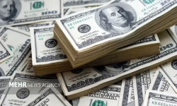 نحوه محاسبه نرخ تسعیر ارز در واردات بدون انتقال ارز شفاف شد نحوه محاسبه نرخ تسعیر ارز در واردات بدون انتقال ارز شفاف شد
