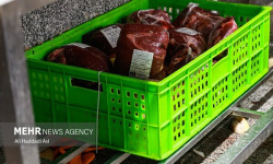 کنترل قیمت گوشت در بازار با افزایش عرضه شدنی است کنترل قیمت گوشت در بازار با افزایش عرضه شدنی است