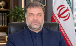 نخستین معاون اقتصادی مجمع جهانی قلم منصوب شد