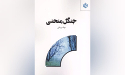 جنگل منحنی سفری خیال‌انگیز از طبابت به هنر و جست‌وجوی خودِ واقعی