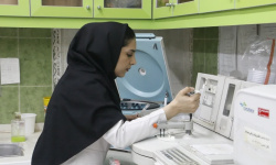 تاکید افشین بر تکمیل سریع پیشرفت پروژه مرکز ملی نخستیسانان تاکید افشین بر تکمیل سریع پیشرفت پروژه مرکز ملی نخستیسانان