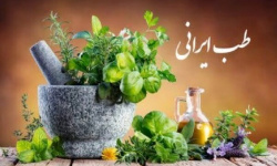 تدوین سند حکمرانی ملی طب ایرانی در آستانه نگارش
