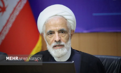 انصاری: تفاهم اسلام‌آباد دستاورد مهمی برای کشور است