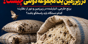 ماجرای برنج‌های دپو شده در زیرزمین یک مجموعه دولتی چیست؟
