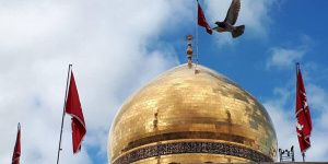 جهاد حضرت زینب(س)،تجسم پیروزی نرمافزار فکری بر سختافزار نظامی بود جهاد حضرت زینب(س)،تجسم پیروزی نرمافزار فکری بر سختافزار نظامی بود