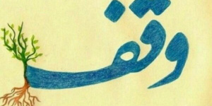 تجلیل از ۷۲ واقف منتخب و اصحاب وقف کشور در مشهد مقدس تجلیل از ۷۲ واقف منتخب و اصحاب وقف کشور در مشهد مقدس