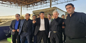 ناظری: مجموعه شهدا ظرفیت تبدیل شدن به قطب چوگان کشور را دارد ناظری: مجموعه شهدا ظرفیت تبدیل شدن به قطب چوگان کشور را دارد