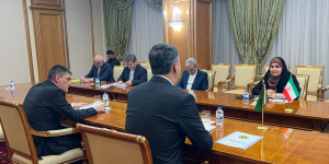 ایران و ترکمنستان بر توسعه همکاریهای اقتصادی و تجاری تأکید کردند ایران و ترکمنستان بر توسعه همکاریهای اقتصادی و تجاری تأکید کردند