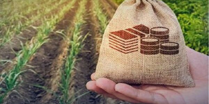 حداقل سهم بخش کشاورزی از وامهای بانکی تعیین شد حداقل سهم بخش کشاورزی از وامهای بانکی تعیین شد