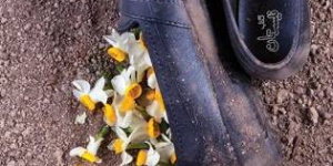 سفرنامههای خواندنی در آستانه اربعین سفرنامههای خواندنی در آستانه اربعین