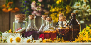 توسعه فناوری و استانداردسازی در زیست‌بوم گیاهان دارویی و طب ایرانی