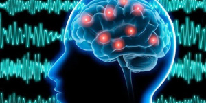 چین از نخستین سامانه MRI جهان برای خواندن شبکههای مغزی رونمایی کرد چین از نخستین سامانه MRI جهان برای خواندن شبکههای مغزی رونمایی کرد