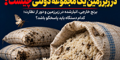 ماجرای برنجهای دپو شده در زیرزمین یک مجموعه دولتی چیست؟ ماجرای برنجهای دپو شده در زیرزمین یک مجموعه دولتی چیست؟